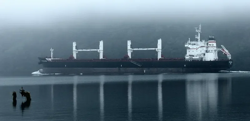 WESTERN CARMEN Bulk Carrier IMO 9609720 photo 7