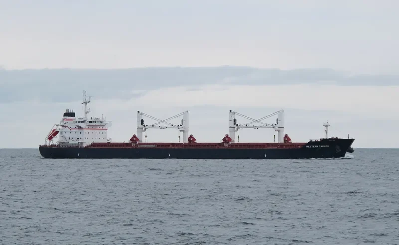 WESTERN CARMEN Bulk Carrier IMO 9609720 photo 8