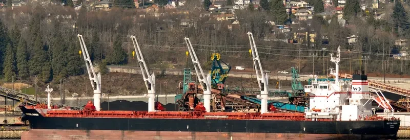 WESTERN CARMEN Bulk Carrier IMO 9609720 photo 9