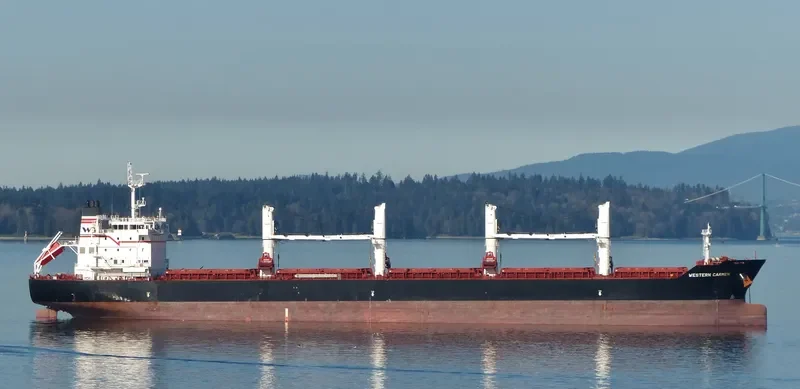 WESTERN CARMEN Bulk Carrier IMO 9609720 photo 10