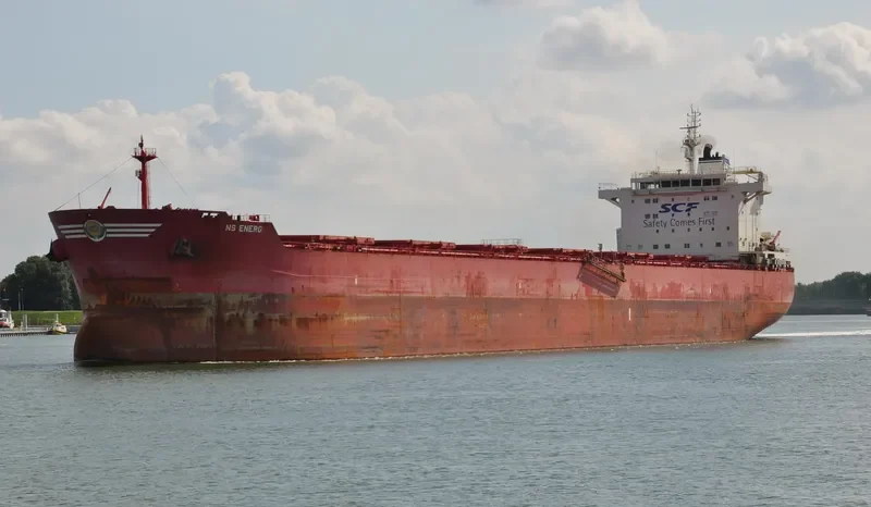NS ENERGY Bulk Carrier IMO 9609732 photo 3