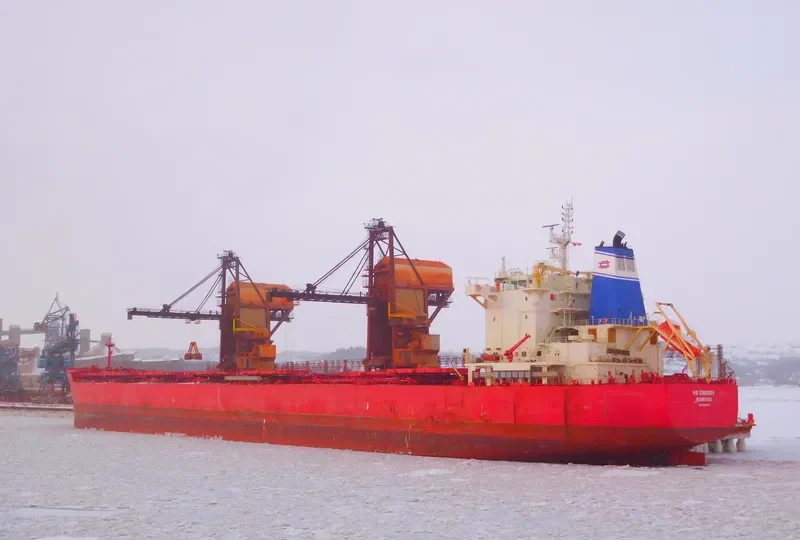 NS ENERGY Bulk Carrier IMO 9609732 photo 5