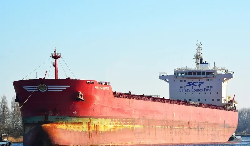 VIKTOR TSOI Bulk Carrier IMO 9609744 photo 5