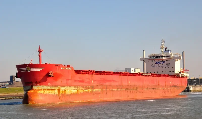 VIKTOR TSOI Bulk Carrier IMO 9609744 photo 8
