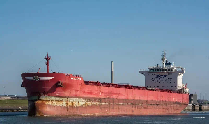 VIKTOR TSOI Bulk Carrier IMO 9609744 photo 10