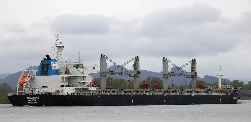 DIVA Bulk Carrier IMO 9609811 photo 2