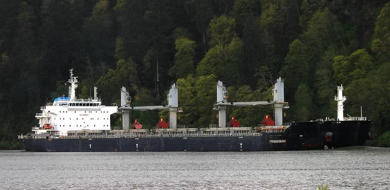 DIVA Bulk Carrier IMO 9609811 photo 4