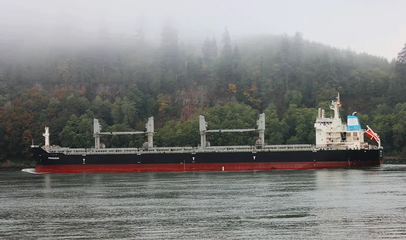 DIVA Bulk Carrier IMO 9609811 photo 6