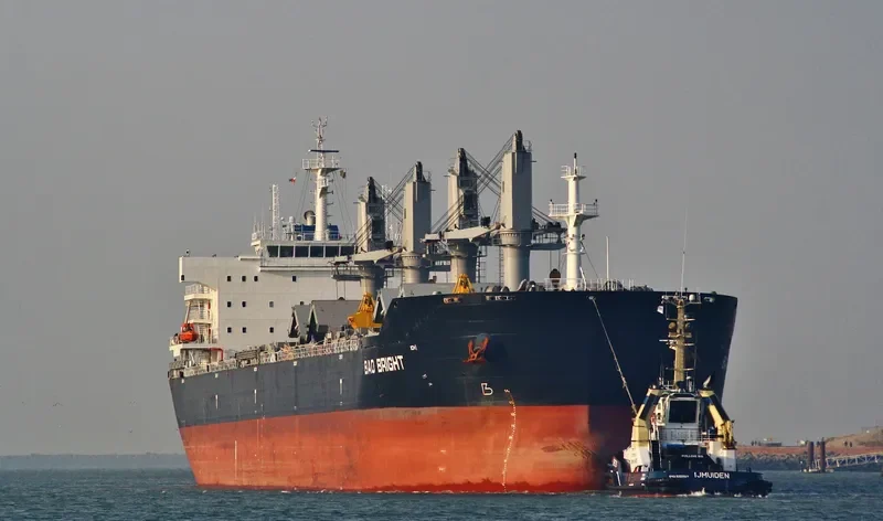 DIVA Bulk Carrier IMO 9609811 photo 10