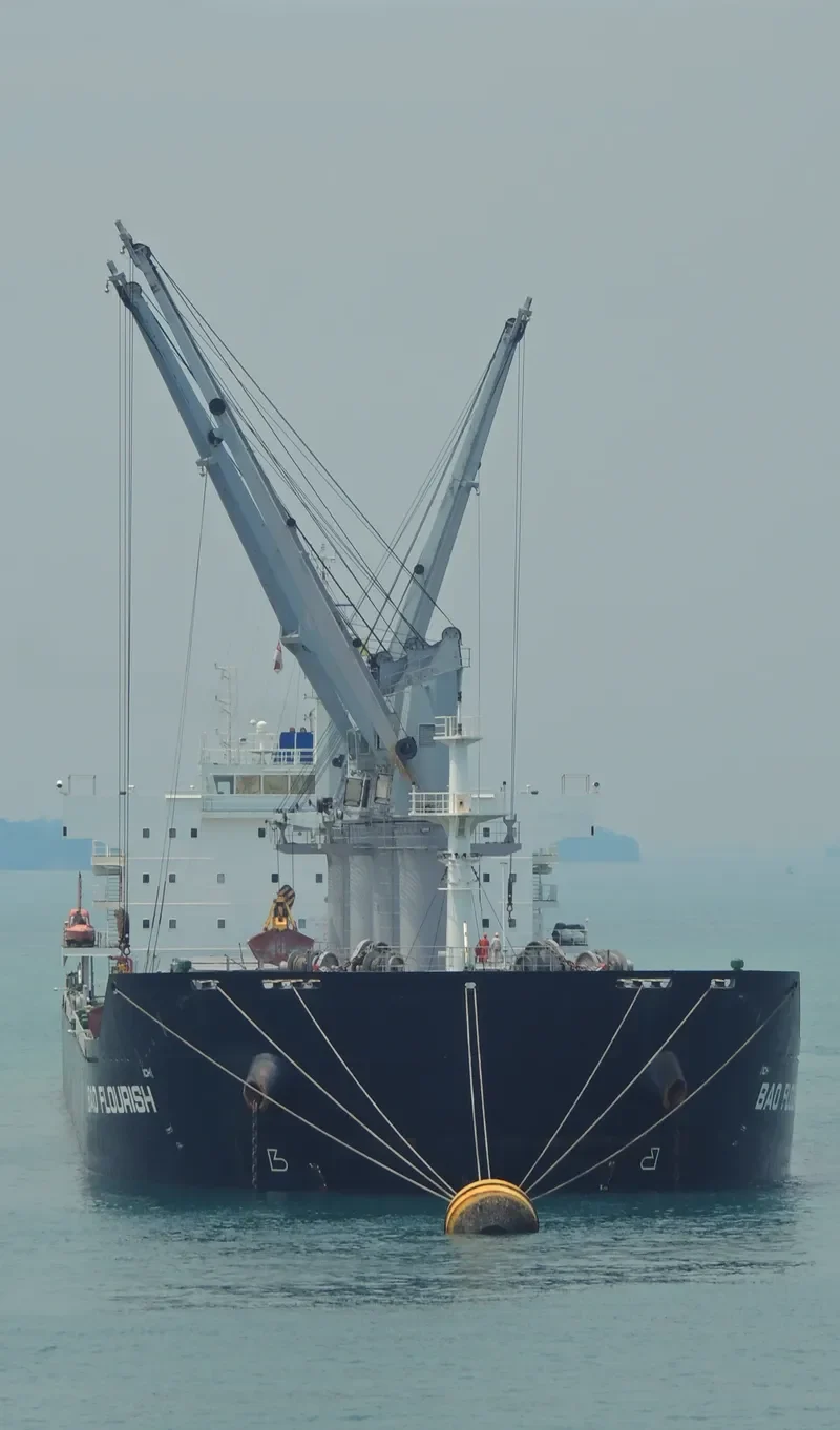 BAO FLOURISH Bulk Carrier IMO 9609835 photo 2