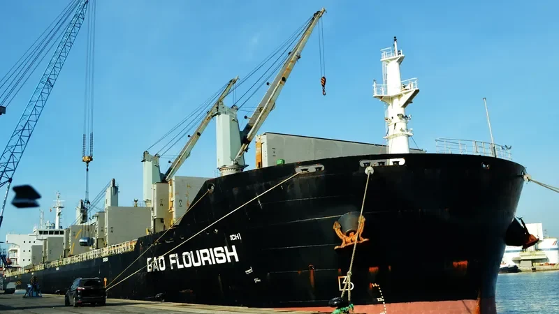 BAO FLOURISH Bulk Carrier IMO 9609835 photo 7
