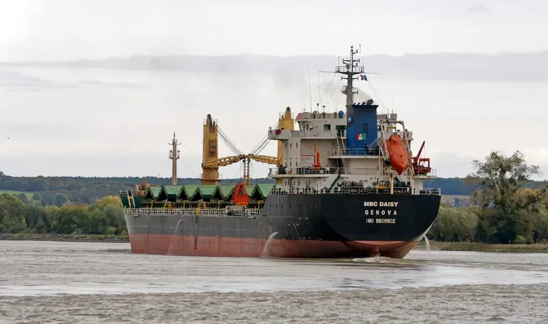 MBC DAISY Bulk Carrier IMO 9609902 photo 3