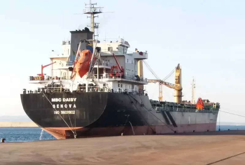 MBC DAISY Bulk Carrier IMO 9609902 photo 5