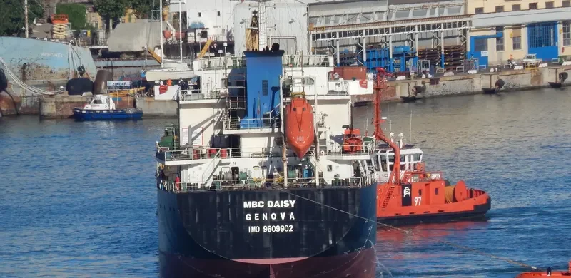 MBC DAISY Bulk Carrier IMO 9609902 photo 6
