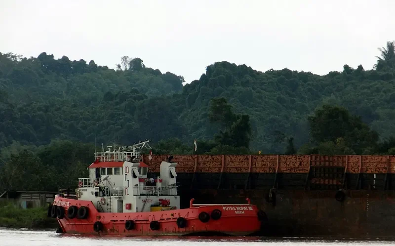 PUTRA RUPAT III Tug Boat IMO 9610066