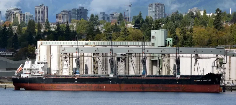 COMMON VENTURE Bulk Carrier IMO 9610080 photo 8