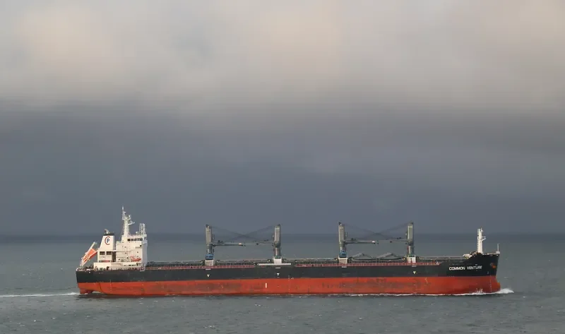 COMMON VENTURE Bulk Carrier IMO 9610080 photo 10