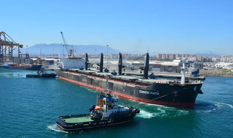 COMMON FAITH Bulk Carrier IMO 9610092 photo 2