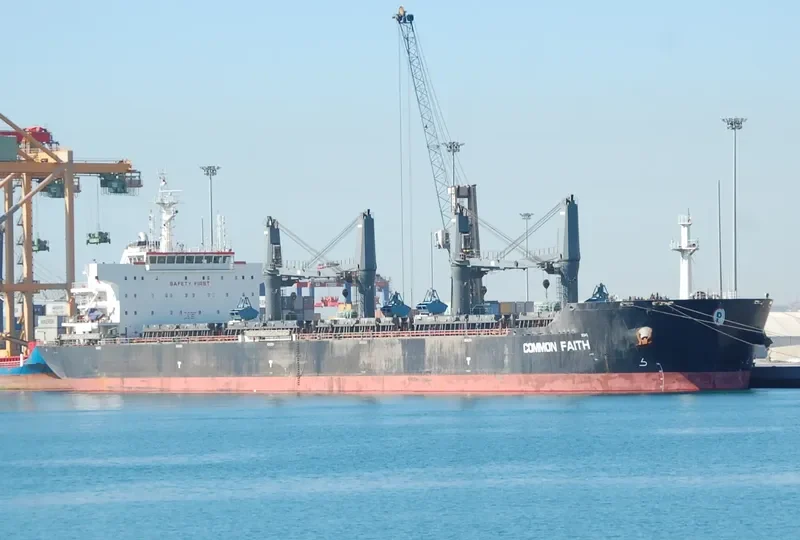 COMMON FAITH Bulk Carrier IMO 9610092 photo 5