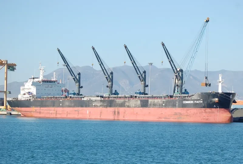 COMMON FAITH Bulk Carrier IMO 9610092 photo 6