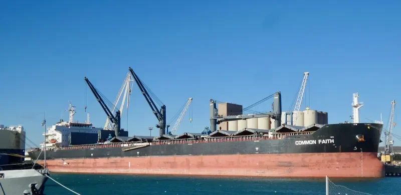 COMMON FAITH Bulk Carrier IMO 9610092 photo 10