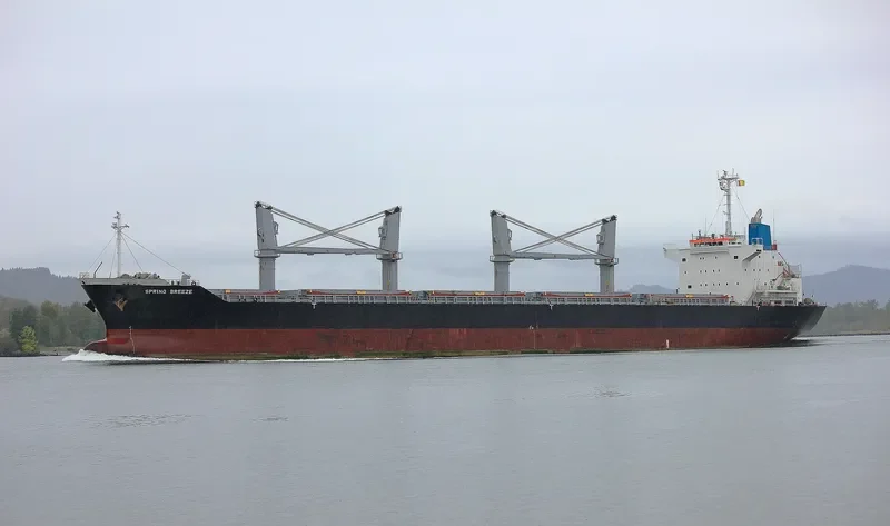 SPRING BREEZE Bulk Carrier IMO 9610200 photo 5