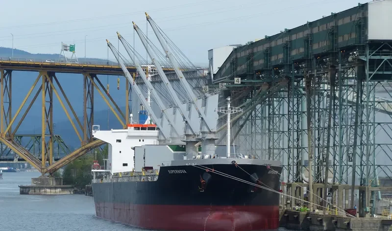 SUPERNOVA Bulk Carrier IMO 9610212 photo 4