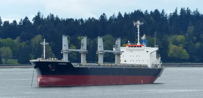 SUPERNOVA Bulk Carrier IMO 9610212 photo 5