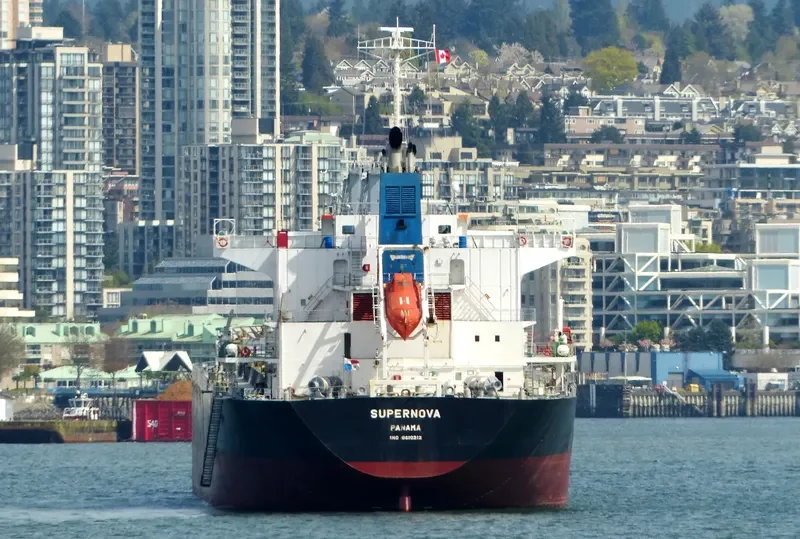 SUPERNOVA Bulk Carrier IMO 9610212 photo 6