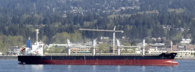 SUPERNOVA Bulk Carrier IMO 9610212 photo 7