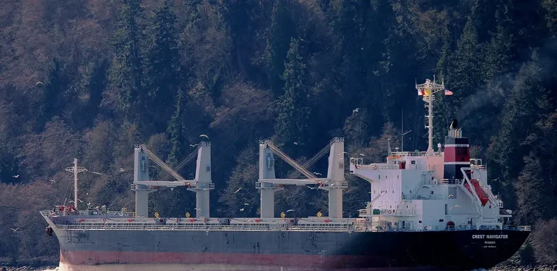 NAXOS Bulk Carrier IMO 9610224 photo 6