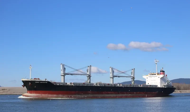 NAXOS Bulk Carrier IMO 9610224 photo 9