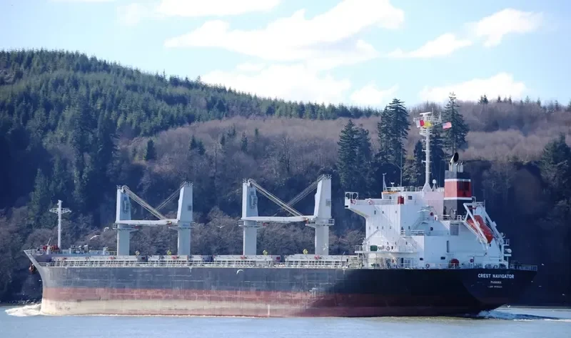 NAXOS Bulk Carrier IMO 9610224 photo 10