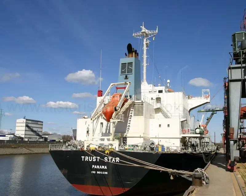 TRUST STAR Bulk Carrier IMO 9610236 photo 6