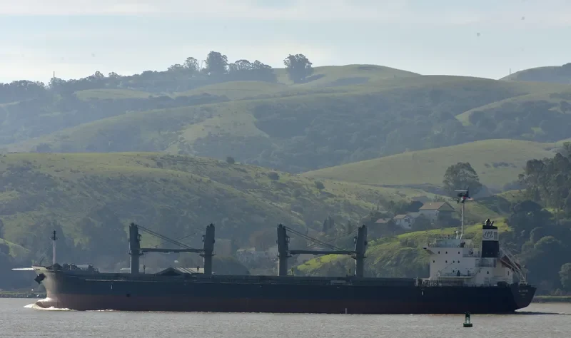 NEW HISTORY Bulk Carrier IMO 9610248 photo 7