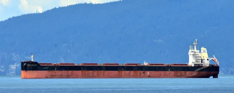FLYING TIGER Bulk Carrier IMO 9610286 photo 2