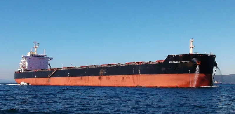 FLYING TIGER Bulk Carrier IMO 9610286 photo 4