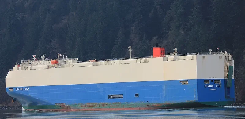 DIVINE ACE General Cargo IMO 9610432 photo 3