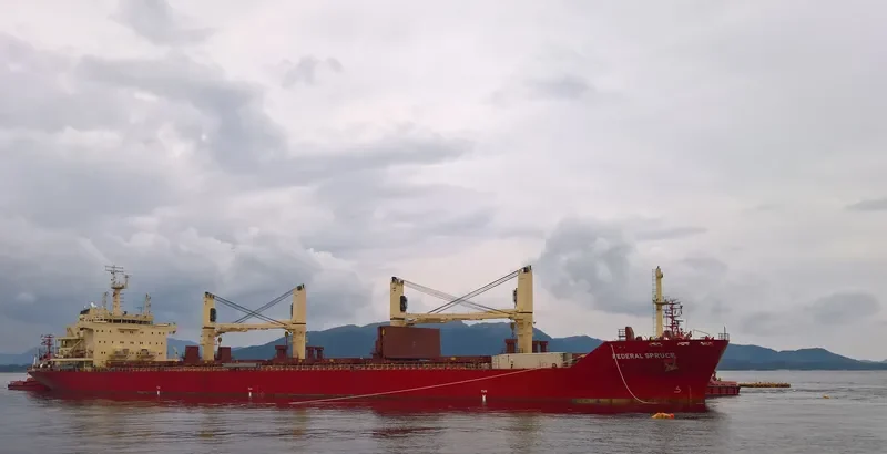 FEDERAL SPRUCE Bulk Carrier IMO 9610468 photo 2