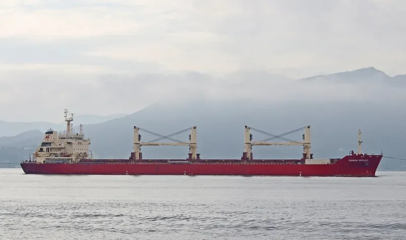 FEDERAL SPRUCE Bulk Carrier IMO 9610468 photo 3