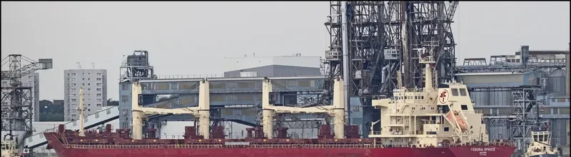 FEDERAL SPRUCE Bulk Carrier IMO 9610468 photo 4
