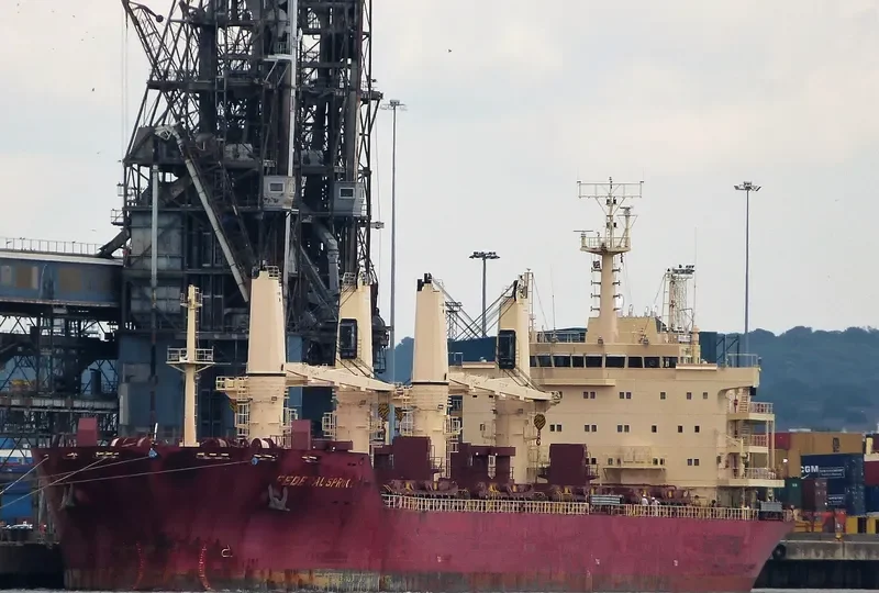 FEDERAL SPRUCE Bulk Carrier IMO 9610468 photo 5