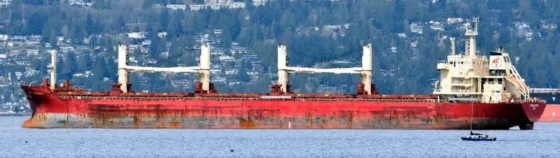 FEDERAL SPRUCE Bulk Carrier IMO 9610468 photo 8