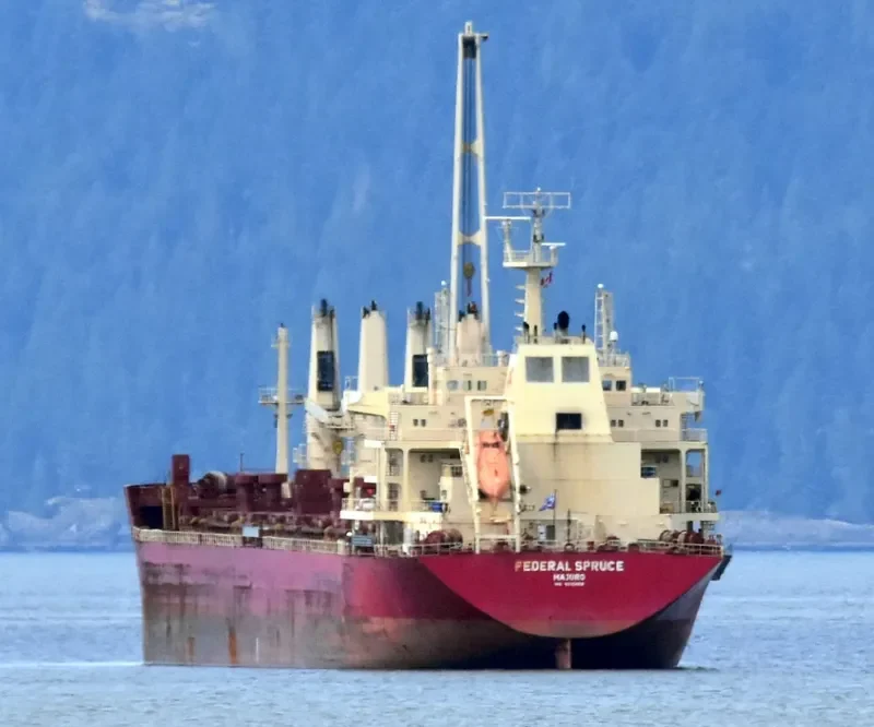 FEDERAL SPRUCE Bulk Carrier IMO 9610468 photo 9