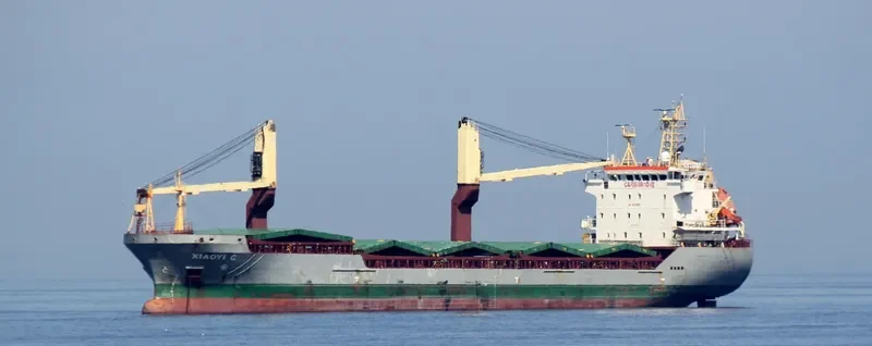 DAIANA General Cargo IMO 9610509