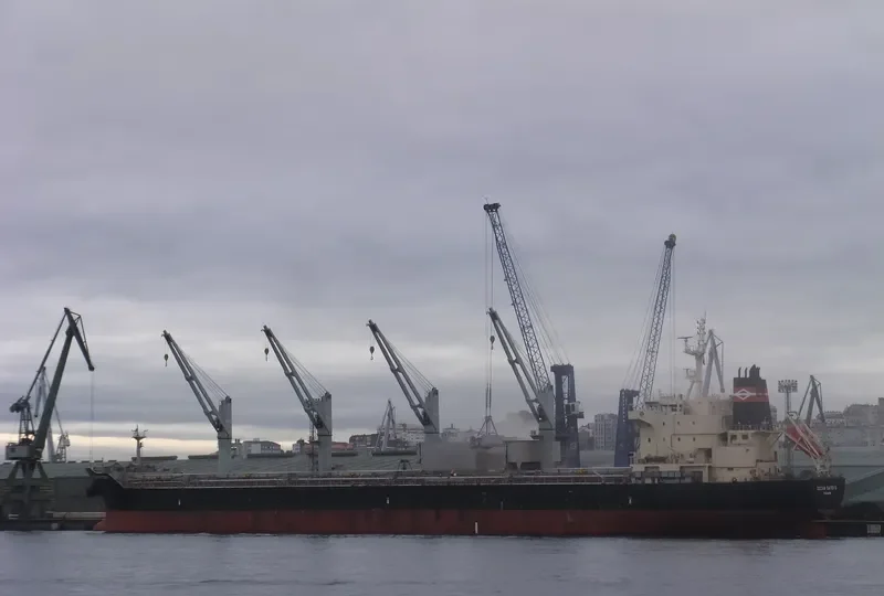 OCEAN SATOKO Bulk Carrier IMO 9610638 photo 2