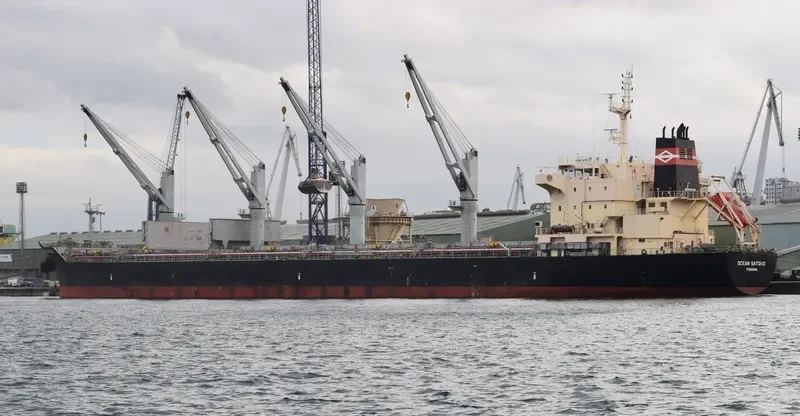 OCEAN SATOKO Bulk Carrier IMO 9610638 photo 5