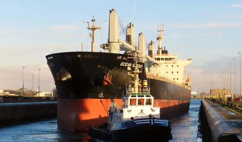 OCEAN SATOKO Bulk Carrier IMO 9610638 photo 6