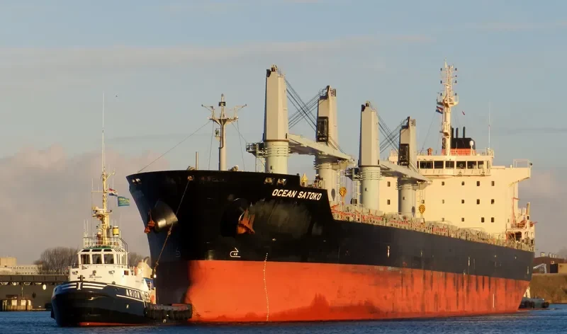 OCEAN SATOKO Bulk Carrier IMO 9610638 photo 7