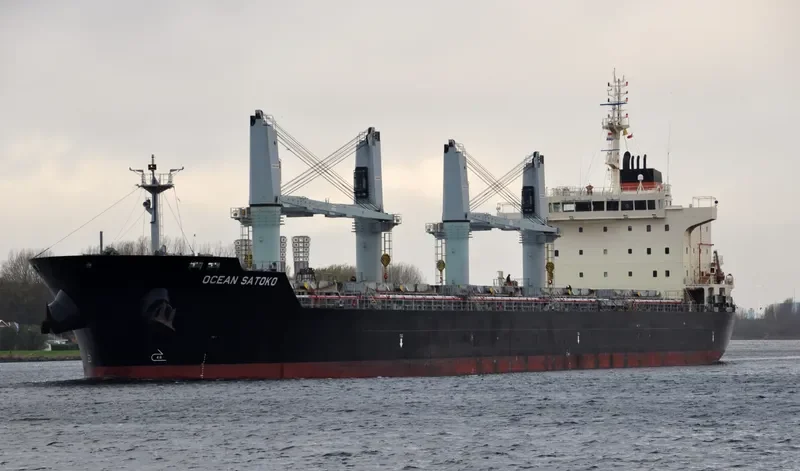 OCEAN SATOKO Bulk Carrier IMO 9610638 photo 9